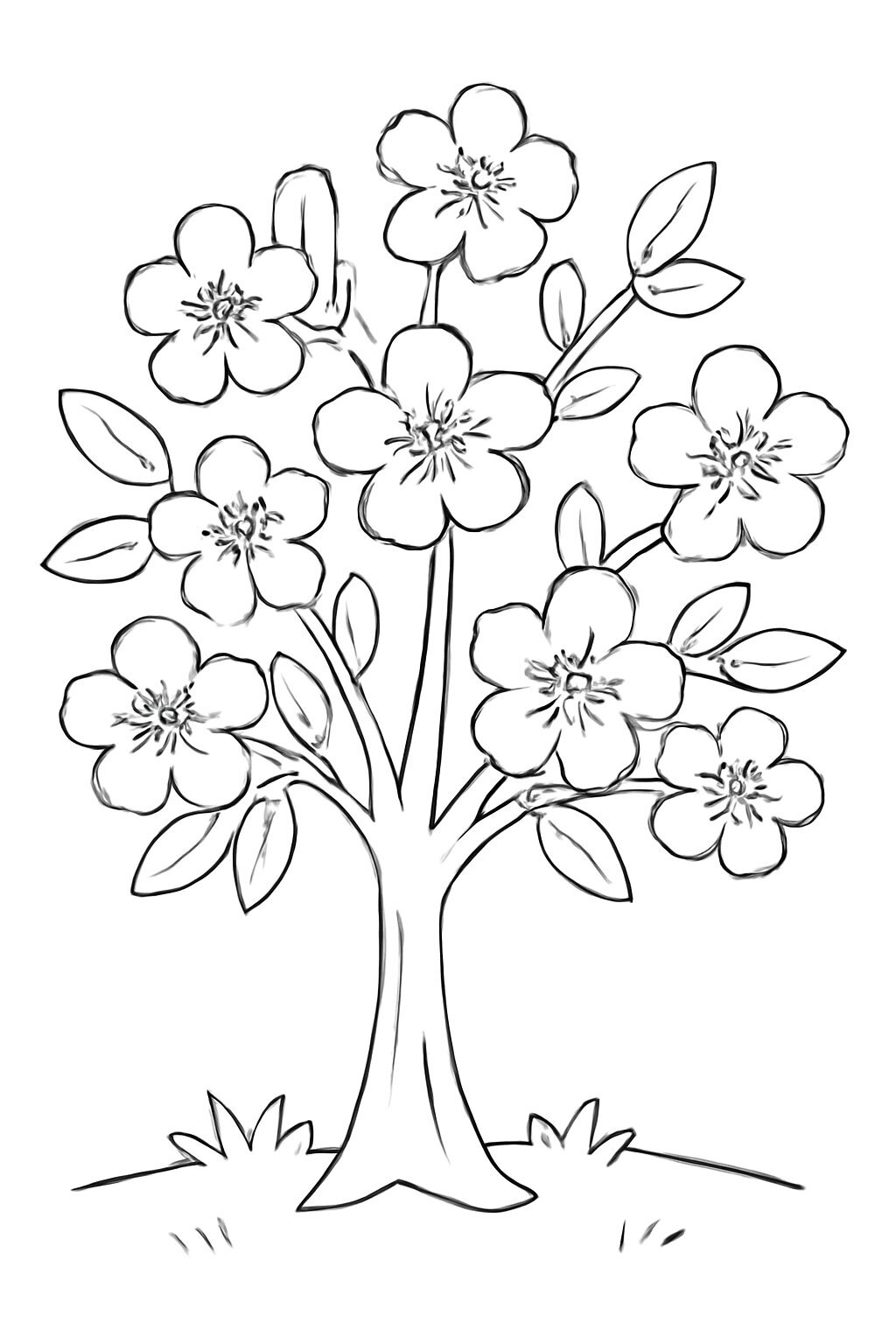 Peach Blossom Tree