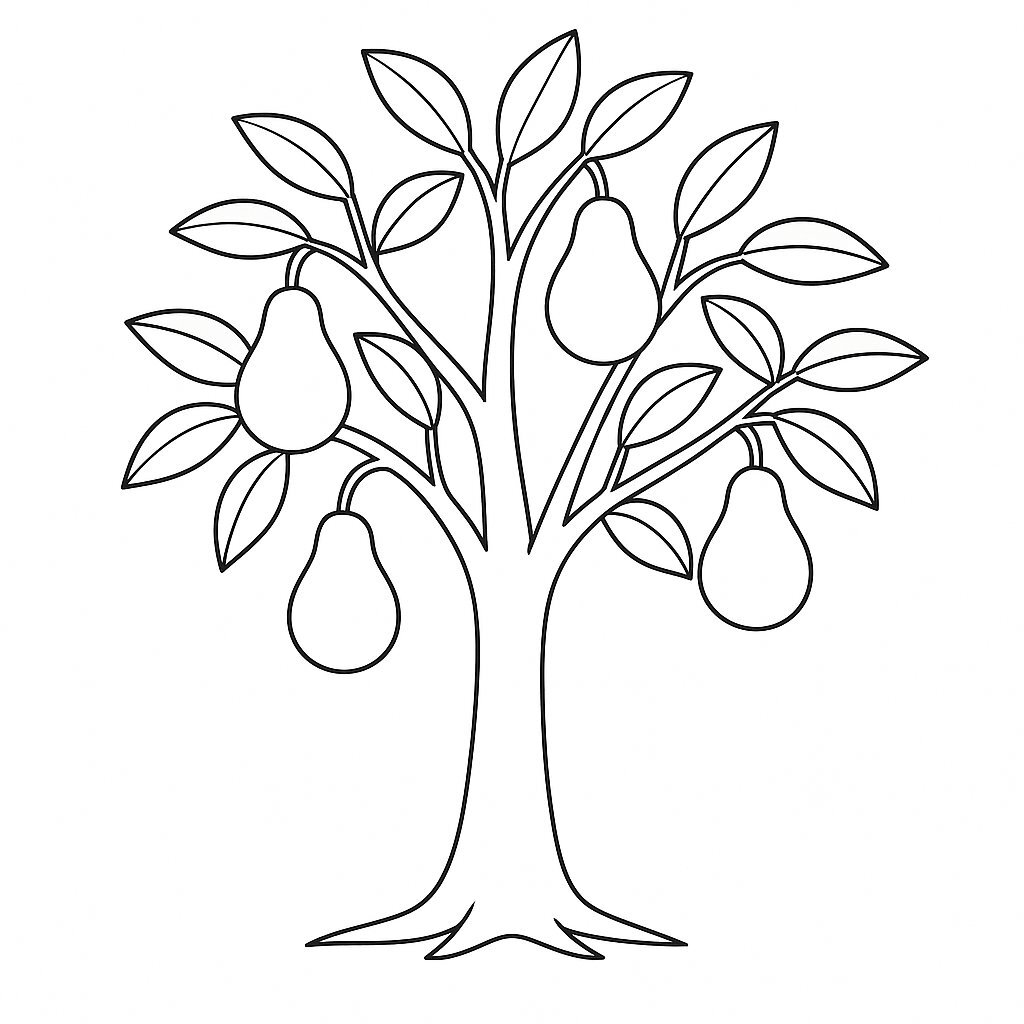Pear Tree