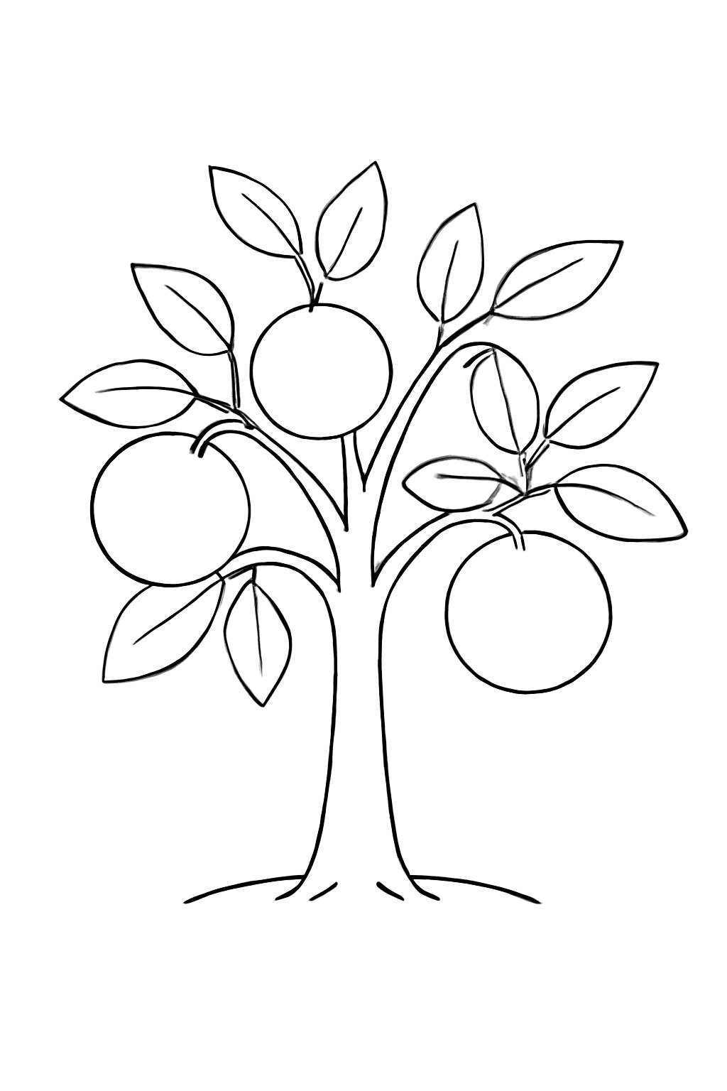 Orange Tree