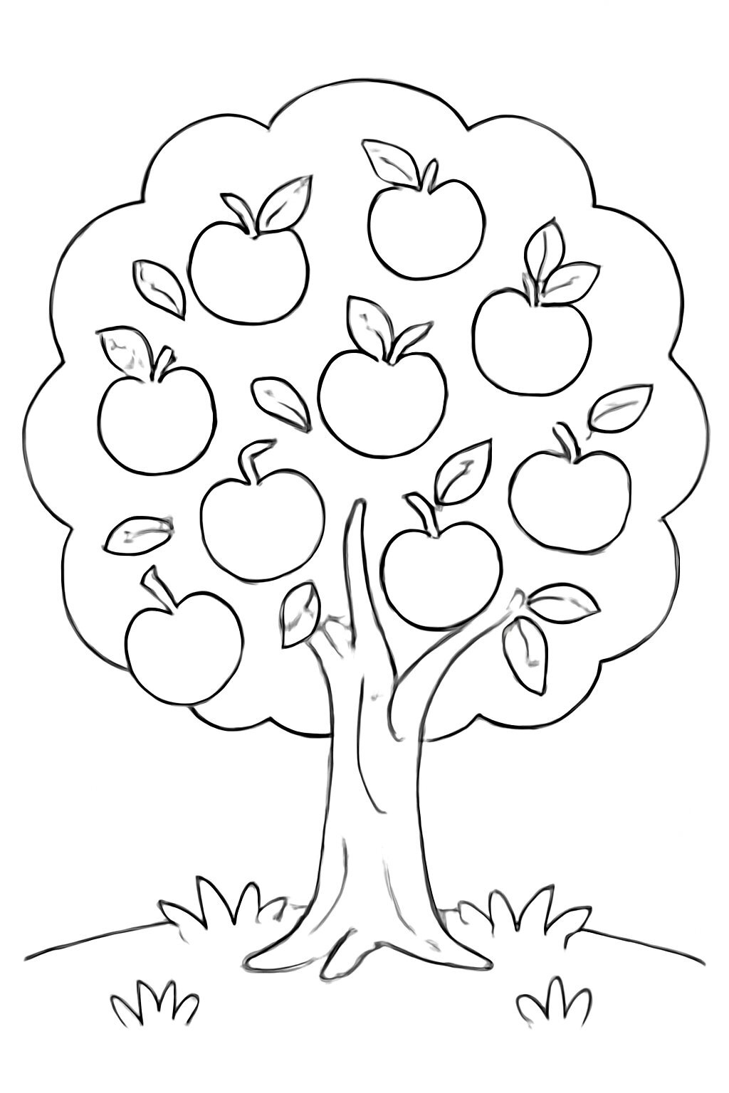 Apple Tree