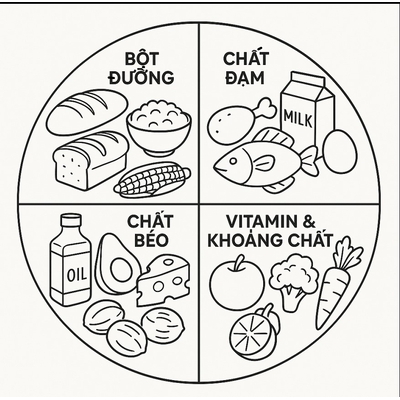 4 Food Groups Coloring Pages 2026 to Help Kids Understand Nutrition