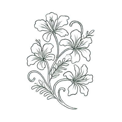 Flamboyant Flower Coloring Pages for Kids – Creative &amp; Beautiful 2026