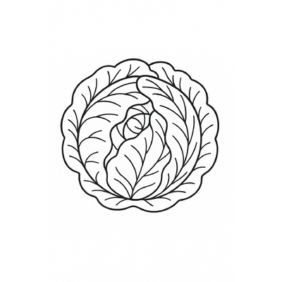Cute Cabbage Coloring Pages for Kids 2026