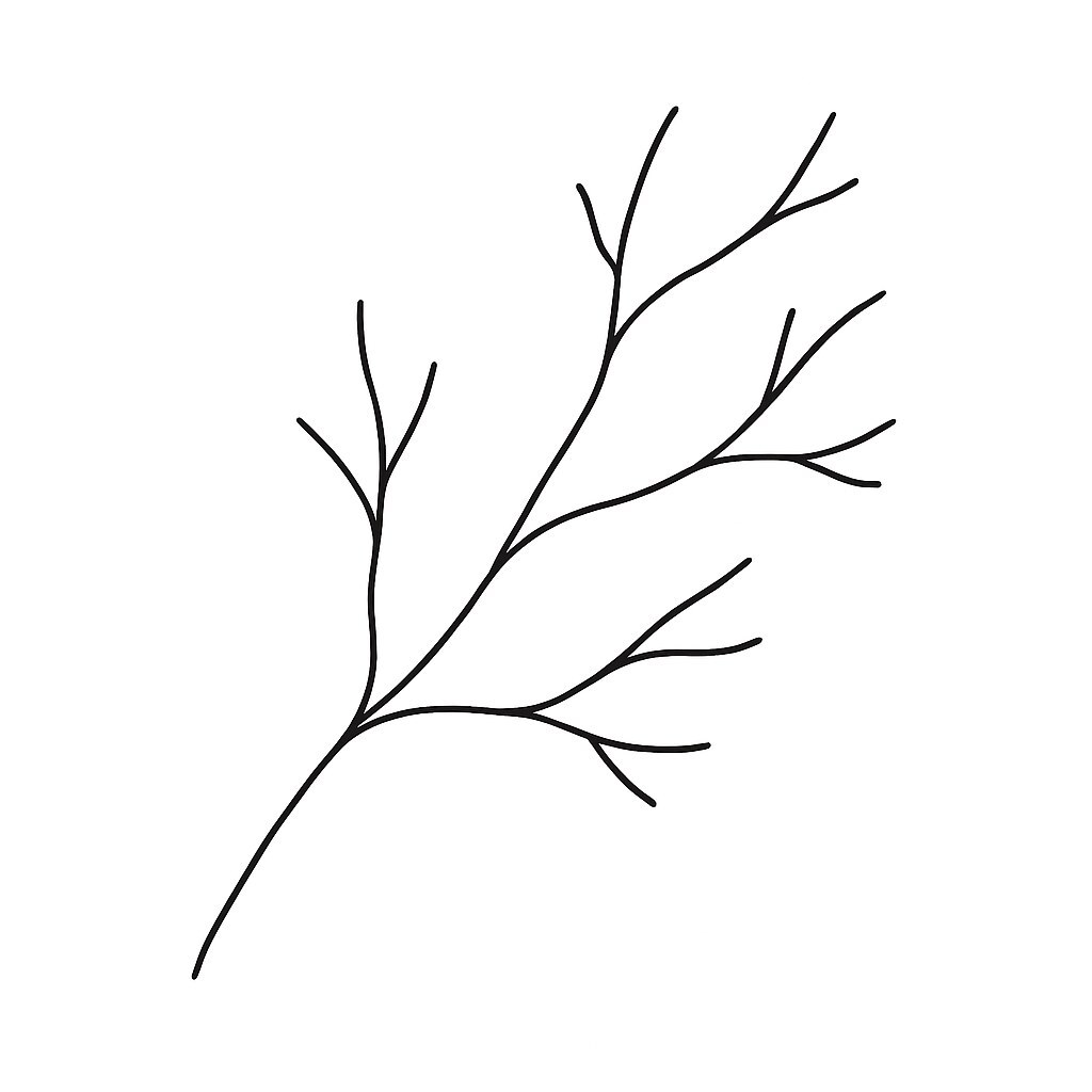Bare Tree Branch