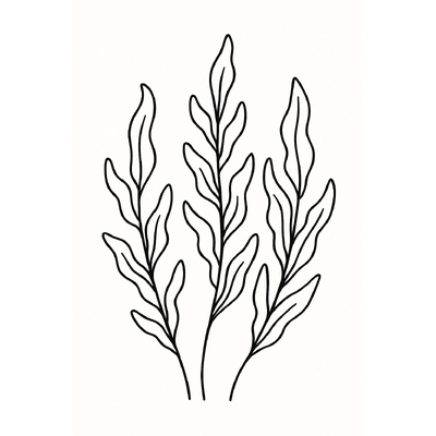 Seaweed Coloring Pages for Kids – Creative Fun 2026