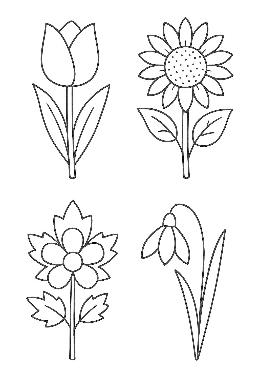 Four-Season Flowers