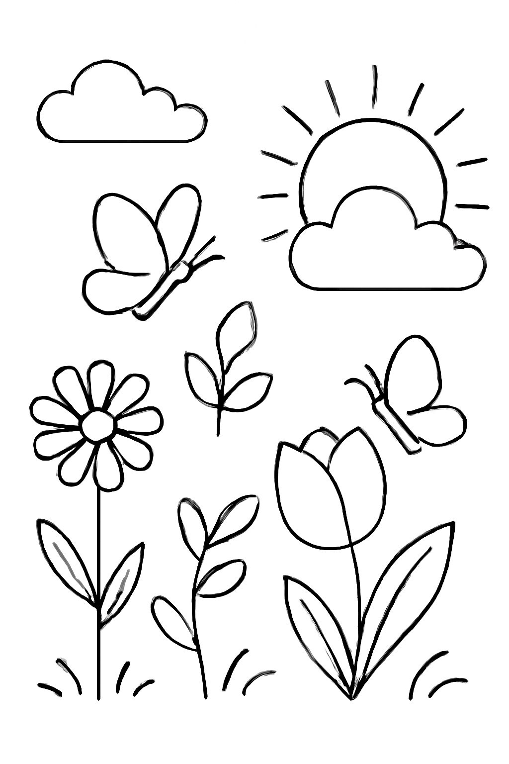 Pre-drawn Nature Flowers and Leaves