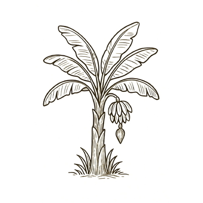 Banana Tree Coloring Pages for Kids – Best Designs 2026
