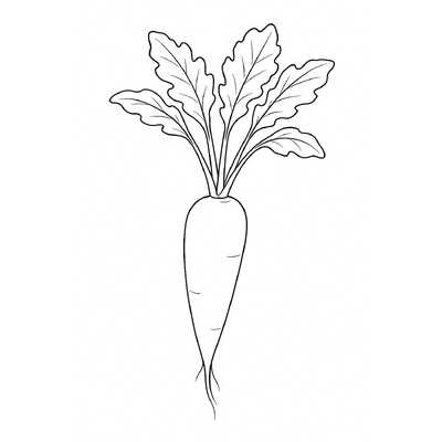 Best White Radish Coloring Pages for Kids 2026
