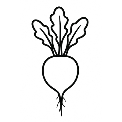 Best White Radish Coloring Pages for Kids 2026