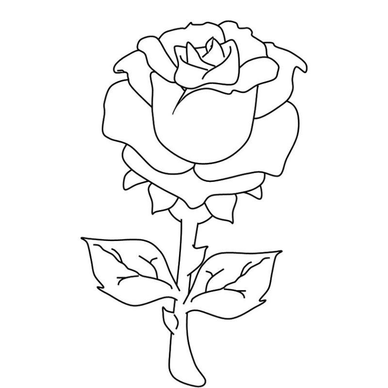 Fruit Trees Coloring Pages 2026 – PDF for Kids 15